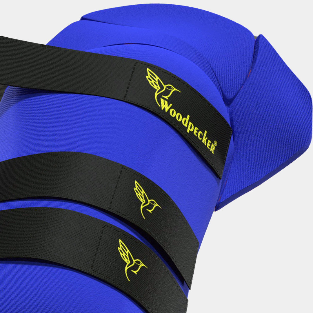 Armour X Thigh Guard 3 Strap (Blue-Orange)